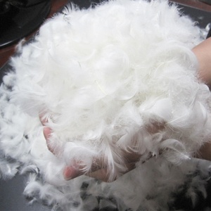 <span class=keywords><strong>Plumes</strong></span> de canard <span class=keywords><strong>blanches</strong></span> lavées naturelles de Chine, 2,4 cm – Matière première pour rembourrage en gros - Product Image 6