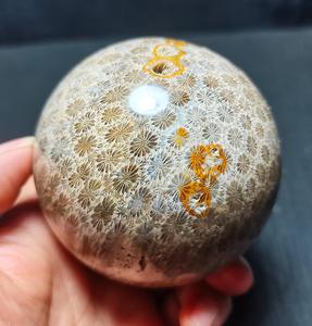Sphère en jade corail poli naturel de haute qualité, cristal fossile de chrysanthème, boule de cristal pour la décoration de la maison, Feng Shui, vente en gros - Product Image 2