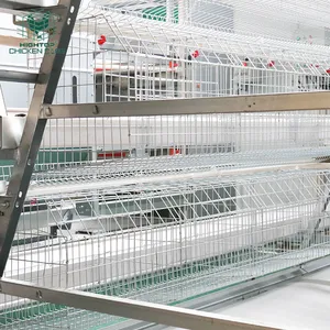 4 Tier A Type Egg Laying Layer Automatic Chicken Cage For Poultry Farming Galvanized Material
