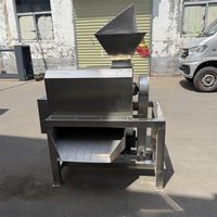 Automatische dubbelkanaals fruitontpitter en -klopmachine, automatische fruit- en groentepulp-residu-scheider