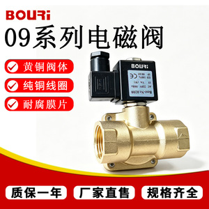 Vanne solénoïde Bouri série 0927 AC220V DC24V, corps en laiton, connexion filetée pour le contrôle des fluides industriels - Product Image 5