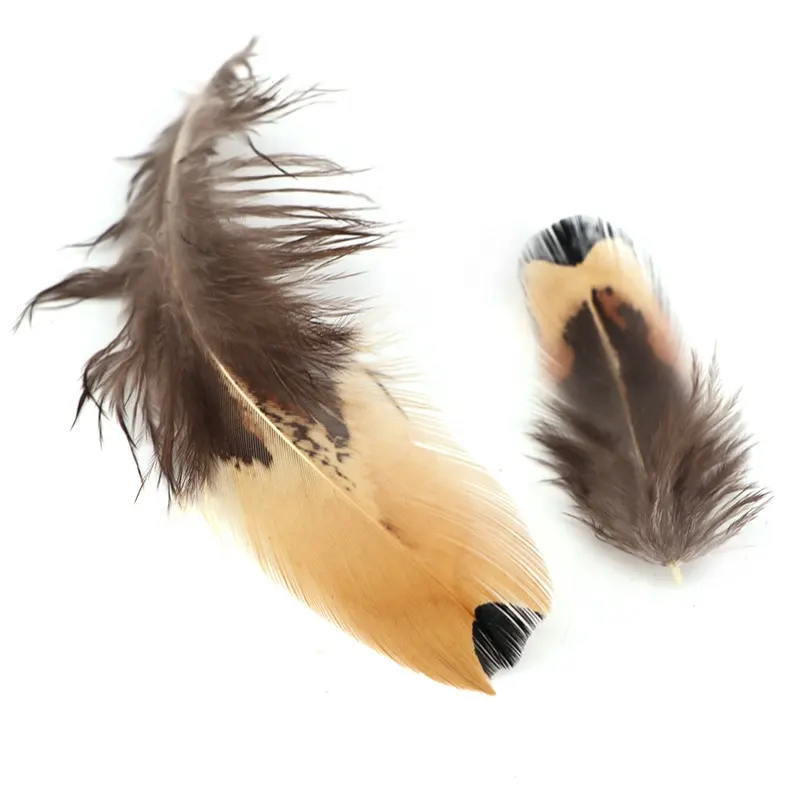 5-11cm atacado de alta qualidade cor natural 100pcs pheasant pena marrom e amarelo para acessórios