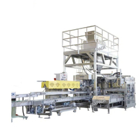 Machine automatique de pesage, de remplissage, de scellage, d'ensachage et de palettisation de comprimés de sel de 25 à 50 kg, provenant d'une usine chinoise