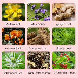 Sachets de thé bruts transformés pour femmes, certifiés GMP, de l'usine OEM C22, pour la santé menstruelle, le nettoyage utérin et comme complément aromatisé - Product Image 6