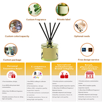 Ensemble de diffuseur de parfum à roseaux en verre de 100 ml, nouveau design, ensemble cadeau d'aromathérapie, parfum d'ambiance, désodorisant, sans phtalates, sans alcool