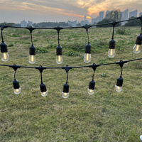 10m 15m 48ft 20m 50m extérieur économie d'énergie Globe guirlandes S14 clair LED ampoules Festoon Patio forte guirlandes lumineuses