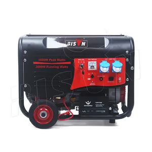 Bison China Professional 3kw 3kva 3000w Gasoline Engine Generator With Remote Control