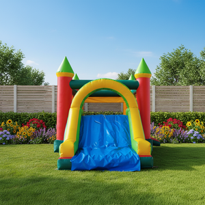 Château gonflable WINSUN imperméable, ignifuge, sans plomb, en PVC, taille personnalisée, château gonflable d'extérieur avec toboggan pour fête - Product Image 1