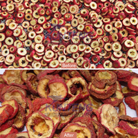 Industriële fruitdroogapparatuur warmtepomp fruitdehydrator jujube, passievrucht, drakenvrucht, palmpitdroogmachine