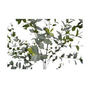 Oh Arts Venta Caliente <span class=keywords><strong>Olivo</strong></span> Bonsai Artificial Planta Eucalipto Artificial Árbol Para Uso Comercial En Hoteles o Restaurantes - Product Image 4