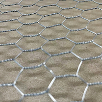 Patio pelouse Animal personnalisé cour filet plante jardin bricolage hexagonal volaille filet poulet treillis métallique