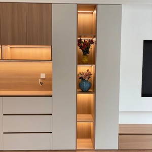Modern Minimalist Wood Living Room Suite Integrated <strong>Design</strong> Storage Cabinet Walk-In <strong>Closet</strong> Shoe Cabinet. Eco-Friendly - Product Image 3