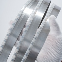 Lame de scie à ruban industrielle EJ Brand en stéellite, soudée haute fréquence, à pointes en carbure, pour bois blanc, personnalisable OEM, horizontale, garantie 1 an