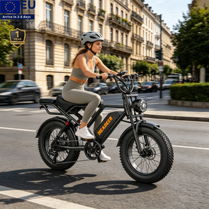 Vélo Électrique Tout-Terrain 2026 en Promotion – VTT Électrique 250W 48V 20Ah avec Pneus Larges 20 Pouces pour Adultes - Product Image 1