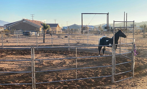 Nhiệm vụ nặng nề mạ kẽm ngựa Bảng điều khiển gỉ bằng chứng corral hàng rào cho đồng cỏ và Đấu Trường - Product Image 2