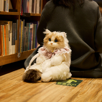 Dropshipping Cadeaux Simulation Ragdoll Chat Poupée Peluche Petite Poupée Poupée Fille Chat Simulé Sac à dos