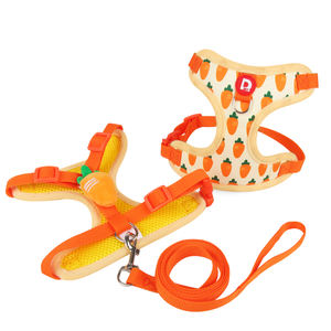 Arneses ajustables para perros pequeños, conjunto de arnés para gatos con logotipo personalizado, accesorios para mascotas, patrones de dibujos animados, poliéster duradero - Product Image 1