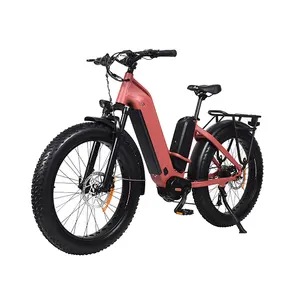 步进式Ebike自行车电动中车电动达普电动自行车双电池脂肪自行车电动