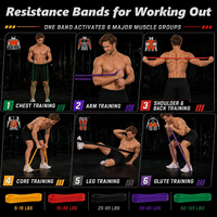 ZAKERDA SZXP501 OEM Bande de Résistance Élastique en Latex Professionnelle Personnalisable avec Logo, 8-15 LB, Durable et Très Élastique pour Gym et Fitness à Domicile