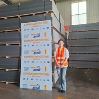 Panneau composite en aluminium massif couleur cuivre 3 mm 4x8 pieds pour les murs de réception d'hôtel