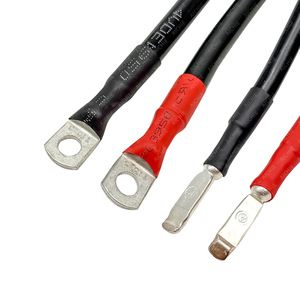 Pure Copper 2-Core Ring <b>Terminal</b> Wire For PLC Control Cabinet Signal Connection Grounding Cable - Product Image 2