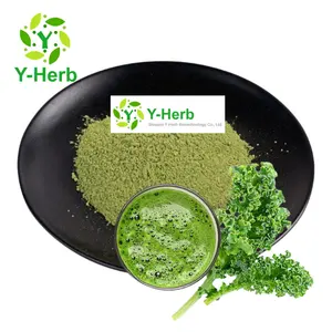 100% Watersoluble Vegetable Kale Leaf Extract Powder 10:1 Brassica Oleracea Extract powder Organic Brassica Oleracea Extract