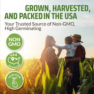 Paquet de variété d'herbes culinaires Paquets de légumes biologiques verts de jardin Herbes pour la plantation jardin intérieur ou extérieur - Product Image 6