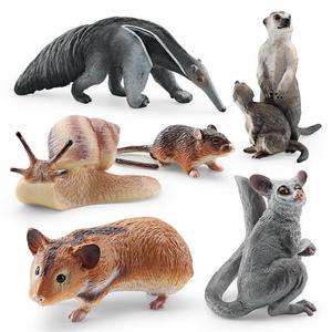 xinhen Figurines de simulation transfrontalières de hamster, escargot, petaurin, suri, marmotte, animaux de la forêt, modèles statiques de bureau - Product Image 2