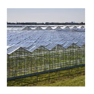 Serre agricole 반대로 곤충 증거 스프레이어 빛 냉각 장치 선형 led 농업 온실