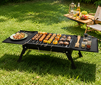 Tables d'appoint extensibles compactes pour la restauration, pliables et portables pour pique-nique, barbecue, camping en plein air, grils à charbon de bois