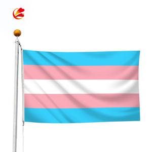 Bandera de Orgullo Gay, 3x5 pies, LGBT, Bandera de arco iris, Bandera de BI Pride, bandera BISEXUAL - Product Image 2