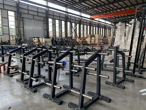 Soporte para Discos de Pesas de Uso Comercial, Brazos de Hierro, Seguro, Duradero, Ajustable, de Alta Calidad, Último Modelo en Oferta - Product Image 6