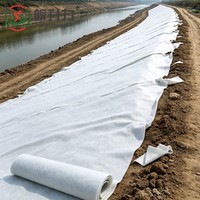 WSL Promotion Exceptionnelle : Géotextile en Fibres Courtes de Polypropylène (PP) à Prix Usine pour la Prévention des Inondations Fluviales
