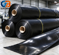 Fabricants de géomembranes en HDPE, feuille imperméable de 2 mm, membrane anti-infiltration en HDPE pour étang à poissons, aquaculture, décharge sanitaire, canal