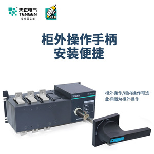 Tengen Disconnect <b>Switch</b> 3P 250A 380V Indoor Use - Product Image 3