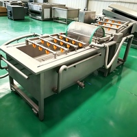 Máquina Automática de Lavar Frutas e Vegetais em Aço Inoxidável 304 para Linha de Processamento de Batata Frita
