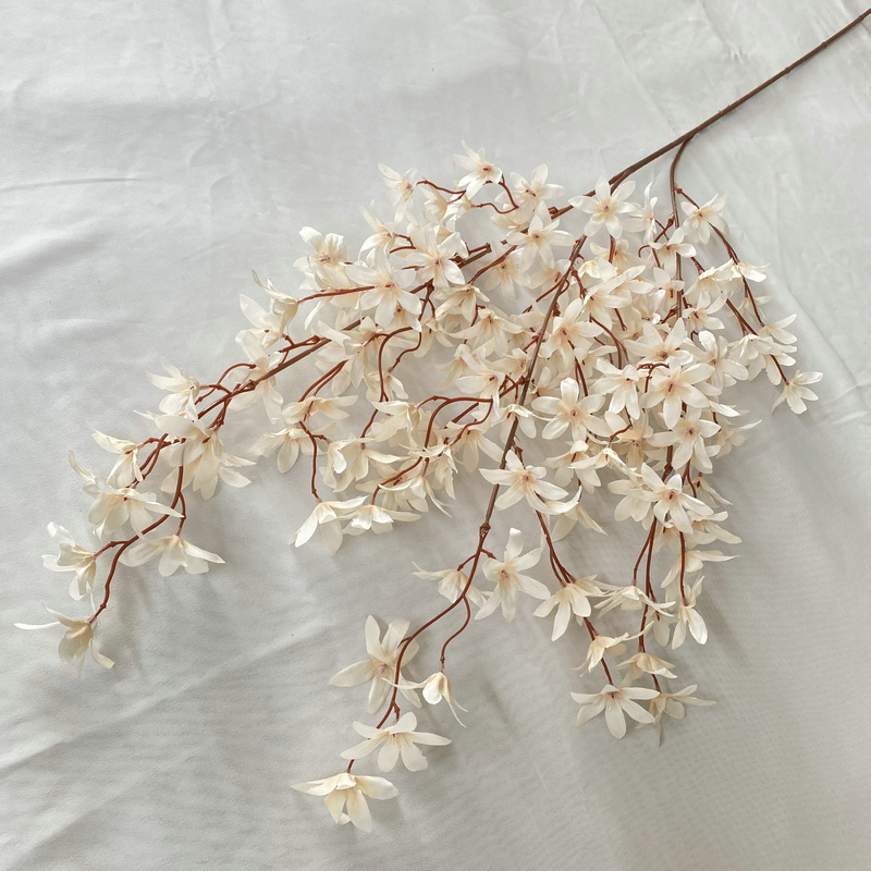 Cream White