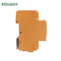 Dispositif de protection contre les surtensions approuvé CE 2P DC 1000V PV parasurtenseurs SPD 20-40kA DC 1000V Thunder Protect