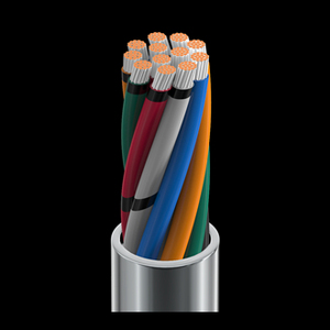 สายเคเบิลแบบหลายแกน Original New Belden 8466 จำนวน 12 แกน ขนาด 18AWG ทองแดงตีเกลียวเคลือบดีบุก 300V สำหรับส่งสัญญาณควบคุมอุตสาหกรรม - Product Image 4