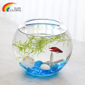 Peceras de Vidrio Soplado a Mano al por Mayor, Peceras Redondas Grandes de Vidrio Transparente con Tamaño Personalizado - Product Image 6