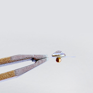 Tùy chỉnh 24 mạ vàng đầy màu sắc cầu vồng pha lê dải màu đen hạt Tai châm cứu dán cho các điểm tai auricular trị liệu - Product Image 6