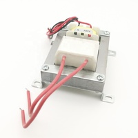 Transformateur Flyback Haute Tension Tianyi HJ 3000V H-V 30W à Noyau en Acier Silicium, Sortie Unique, pour Lampe Insecticide et Audio 50/60Hz