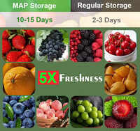Bolsa para Congelar con Tecnología de Membrana de Iones Pesados MAP, Reutilizable, para Conservar Alimentos, con Ventilación de Aire, Transpirable, para Conservación de Frutas