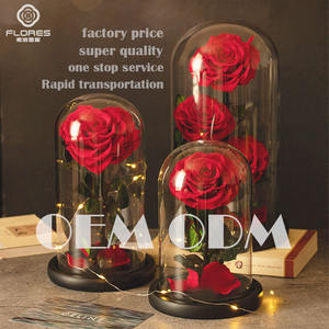Mawar abadi abadi mawar abadi selamanya mawar tak terbatas dalam kubah kaca dengan LED untuk Hari Valentine dan Hari Ibu - Product Image 3