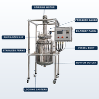 Réacteur à cuve agitée en acier inoxydable pour produits chimiques, personnalisable automatiquement
