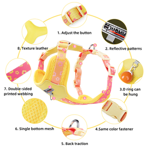 Maßgefertigtes <span class=keywords><strong>Nylon</strong></span>-Hundegeschirr mit Farbverlauf und Logo, Verstellbarer Brustgurt und Leinenset für Spaziergänge im Street-Style - Product Image 6
