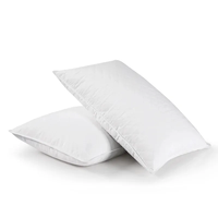 Oreiller de sommeil de haute qualité Oeko-Tex 5 étoiles pour hôtel, mélange de duvet, soutien ferme en plumes, oreiller Hilton matelassé