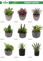 2026 pour jardinières en plastique avec trou de drainage et plateau en bambou, pot mural suspendu pour plantes succulentes et mini-cactus