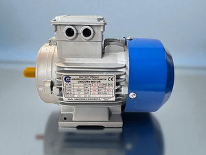 มอเตอร์ไฟฟ้าอุตสาหกรรม 0.5 แรงม้า 4 โพล 3 เฟส แบบติดตั้งบนฐาน ตัวเครื่องอะลูมิเนียม มอเตอร์ประสิทธิภาพสูงสำหรับใช้งานกับเครื่องจักร - Product Image 3