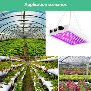 2020 Lumen LED doppio interruttore impianto per interni per la luce Full spettro VEG fiore dimmerabile per la coltivazione impermeabile SMD LED per la coltivazione - Product Image 4